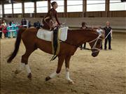 voltitag 2009 _CD1 049